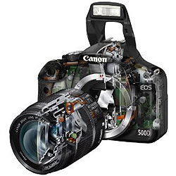 Canon Digitale Spiegelreflexkamera EOS 500D Schnittansicht